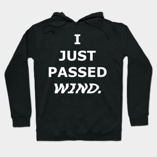 I JUST PASSED WIND. Hoodie